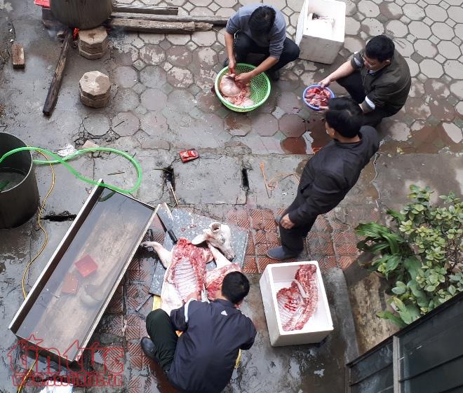 Nhộn nhịp gói bánh chưng Tết 'cộng đồng' tại các khu tập thể, chung cư Hà Nội ảnh 1